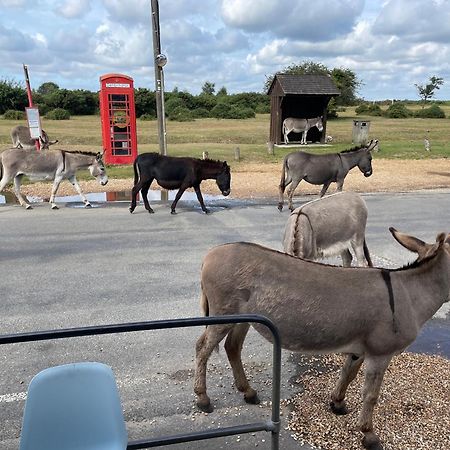 New Forest View Beaulieu Ngoại thất bức ảnh